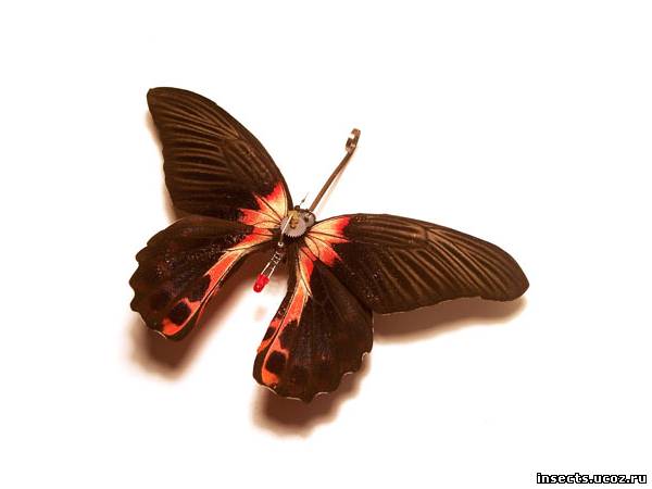 Бабочка в стиле стимпанк