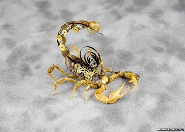 Стимпанк скорпион