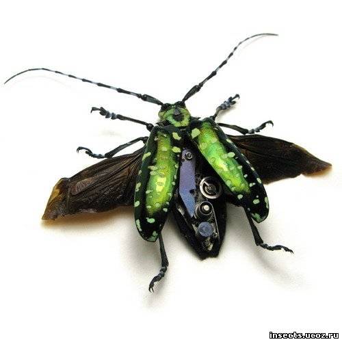 Зелёный жук в стиле стимпанк